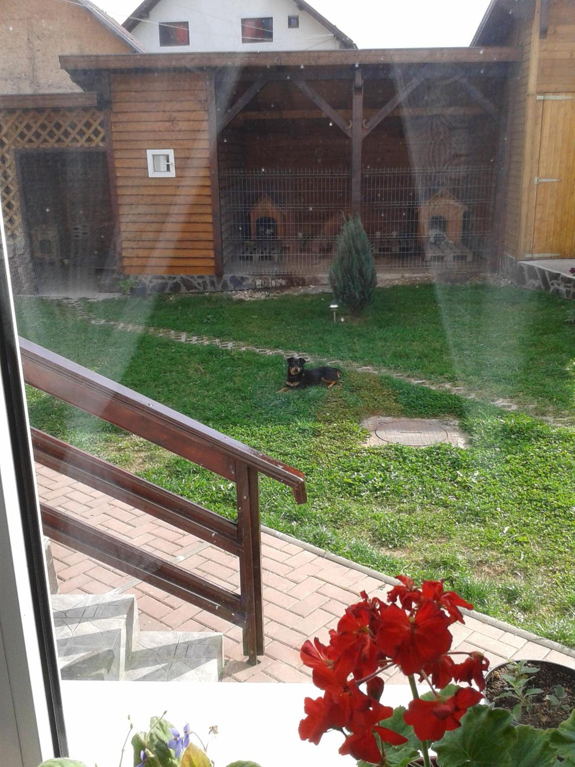 Photo 62