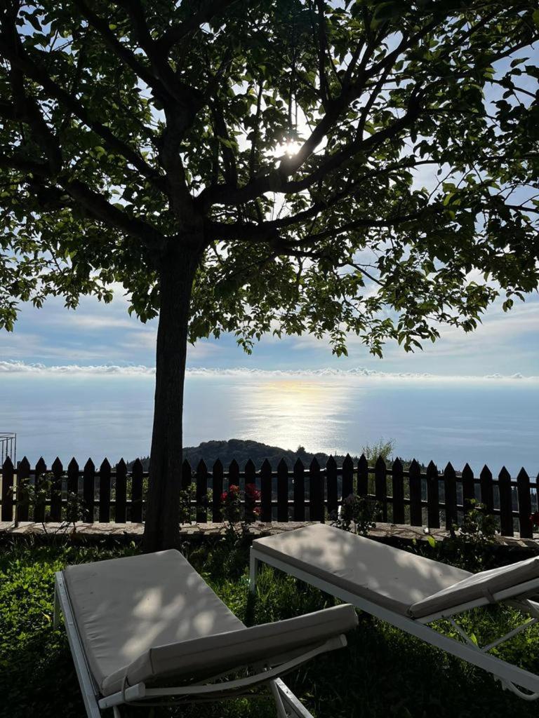 Carmel Villas