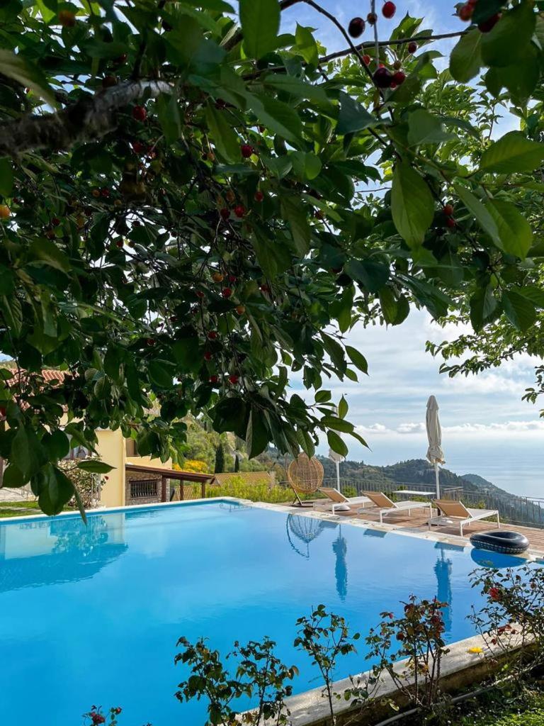 Carmel Villas