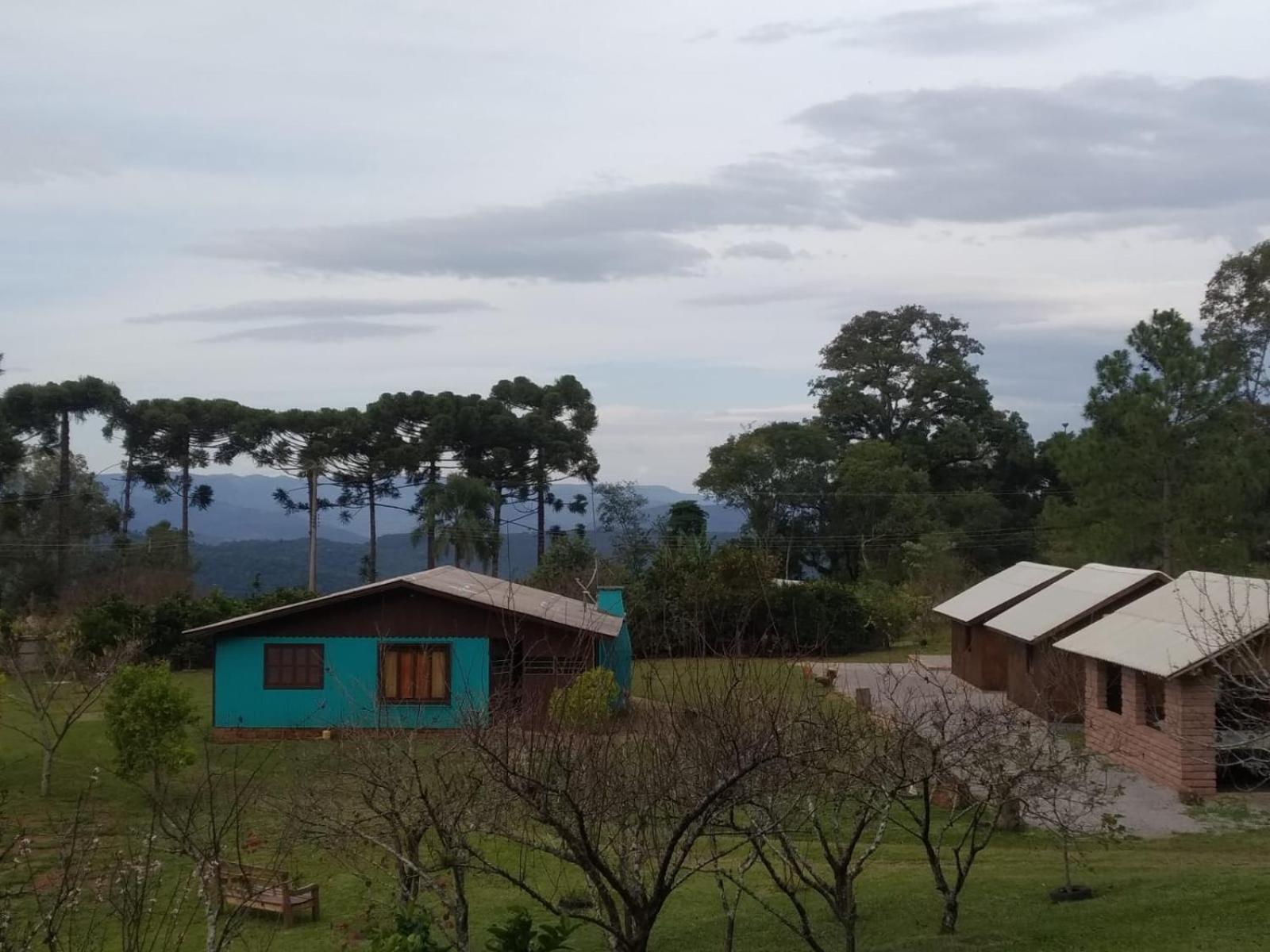 Encosta Dos Pinheiros