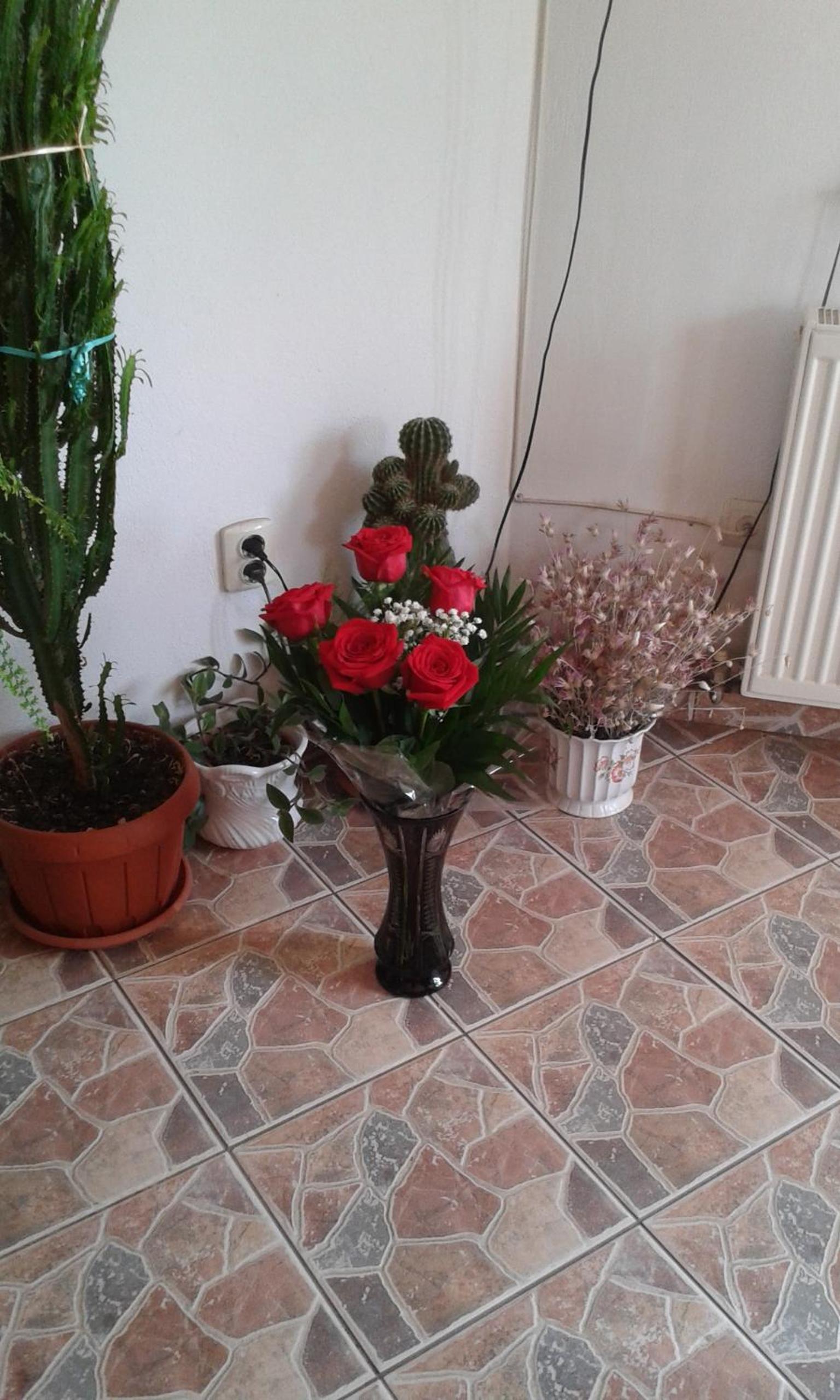 Photo 57