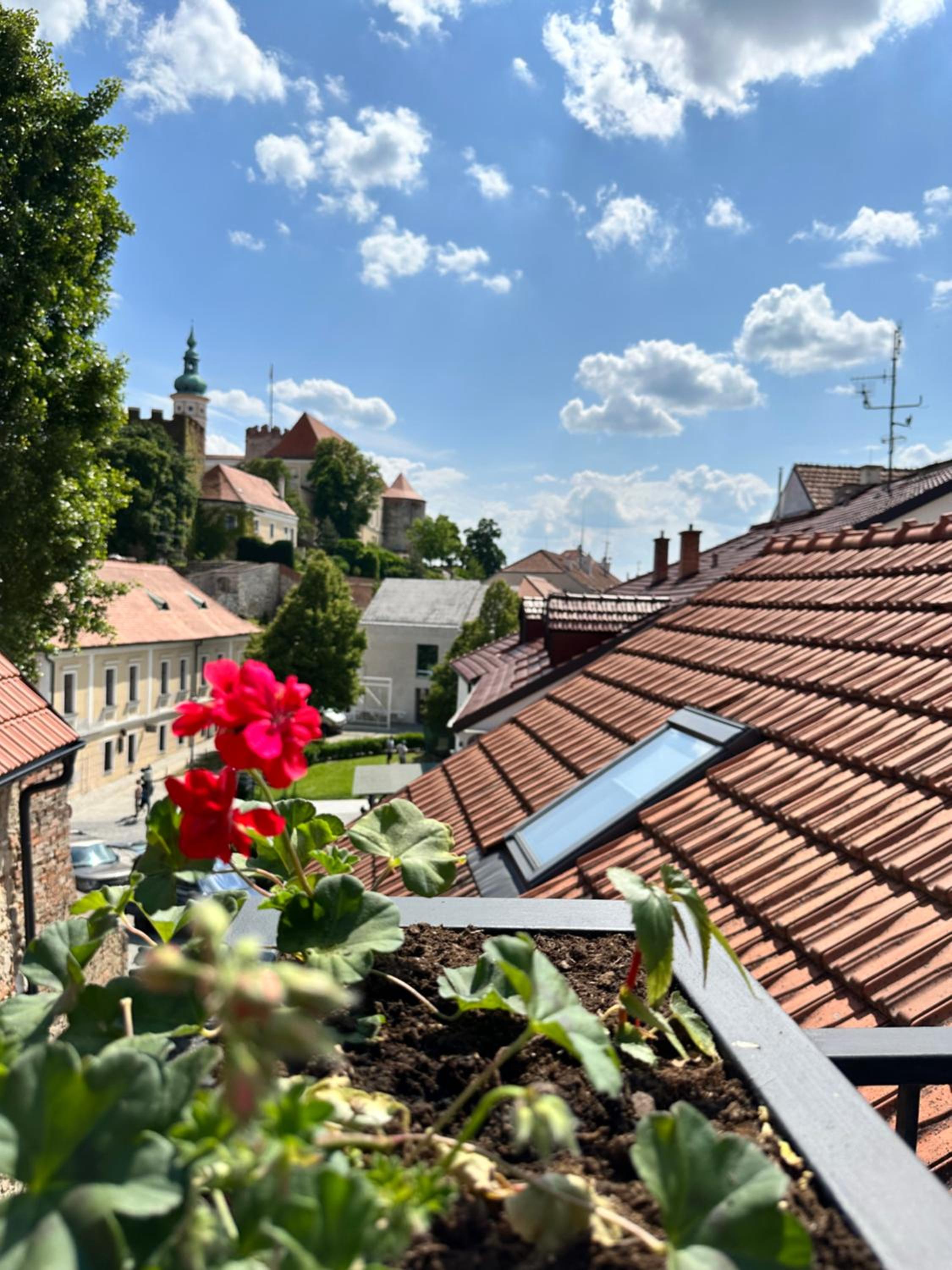 Penzion, vinný sklep a café Bárta