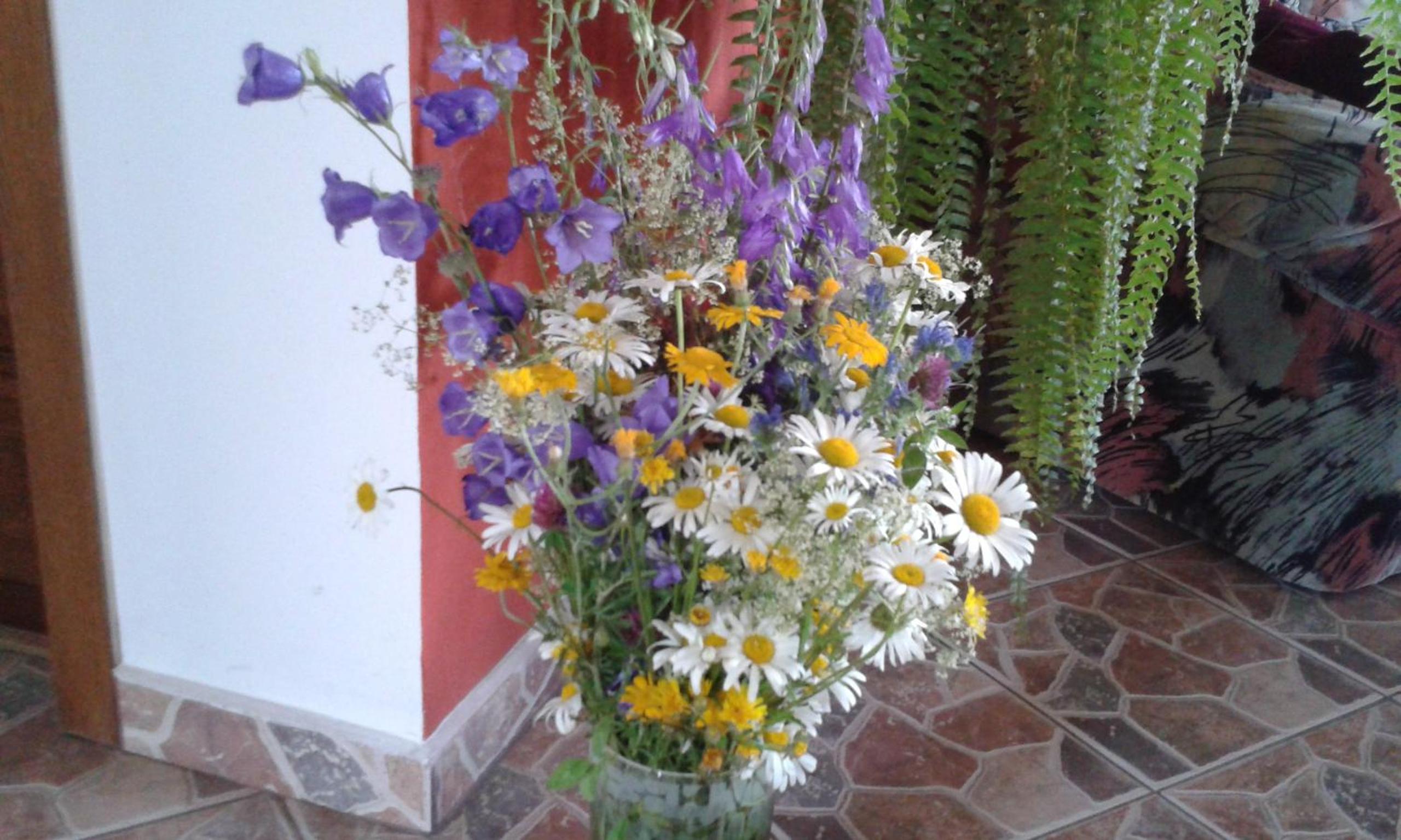 Photo 63