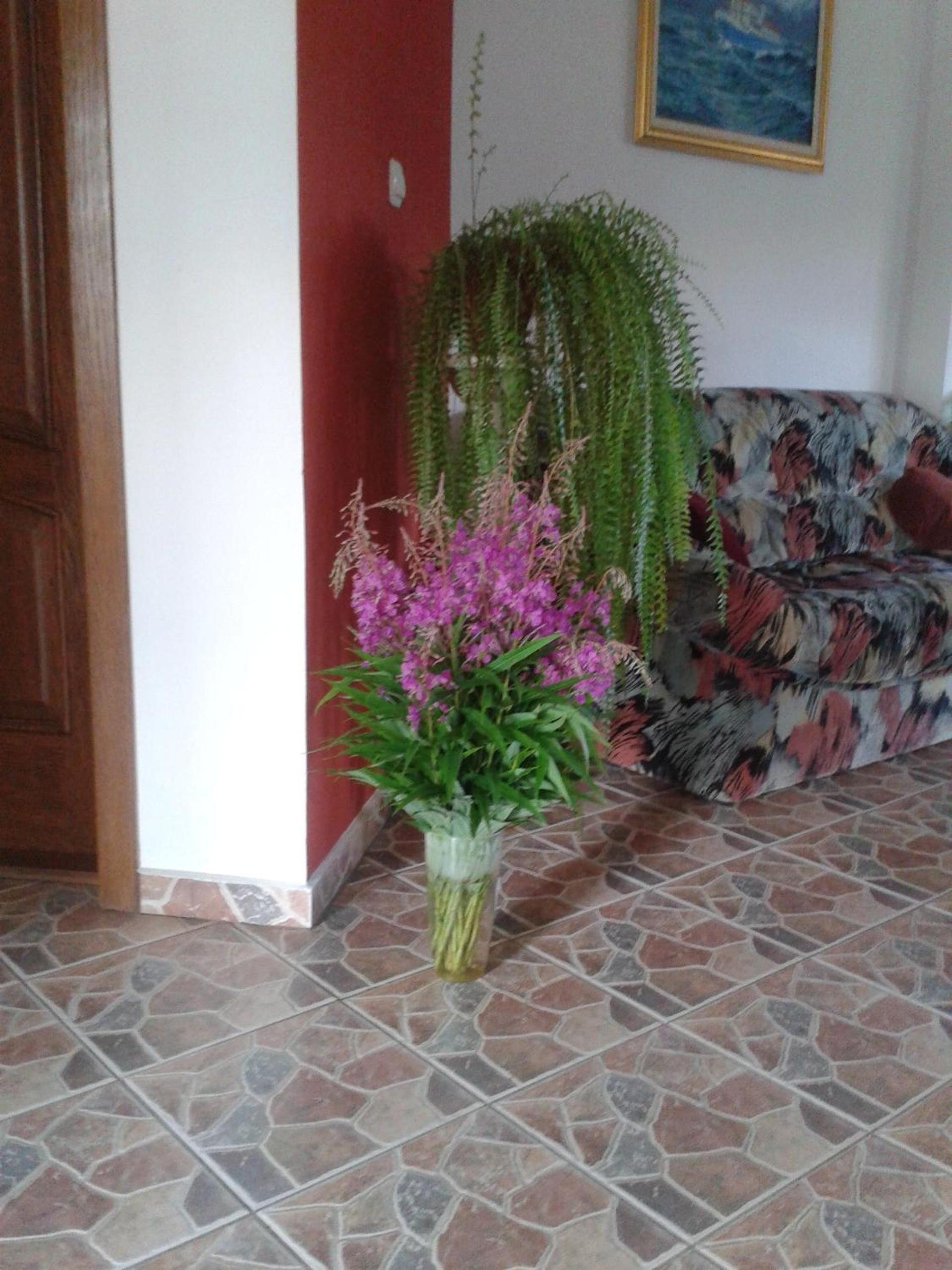 Photo 56