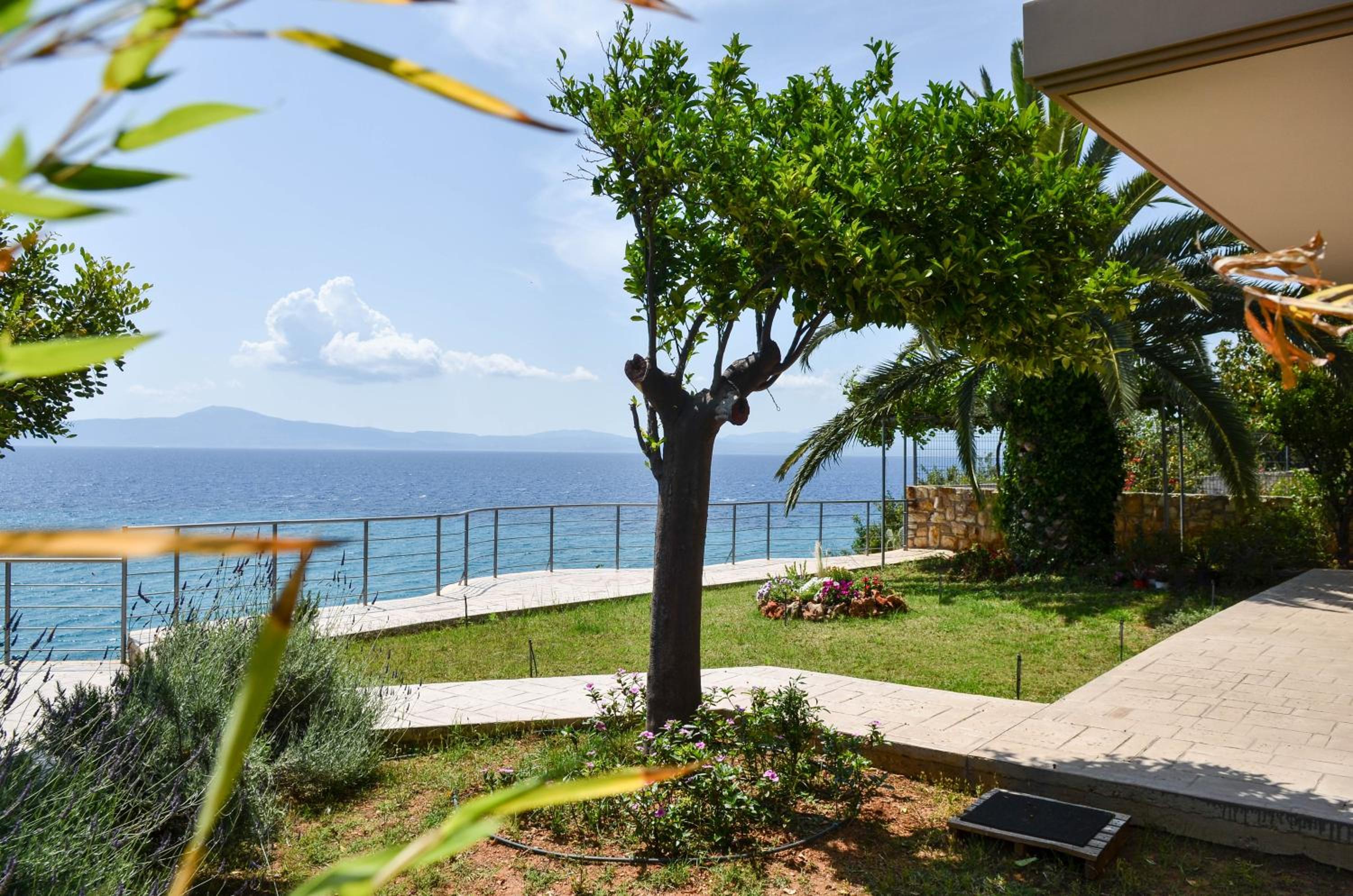Exantas Home