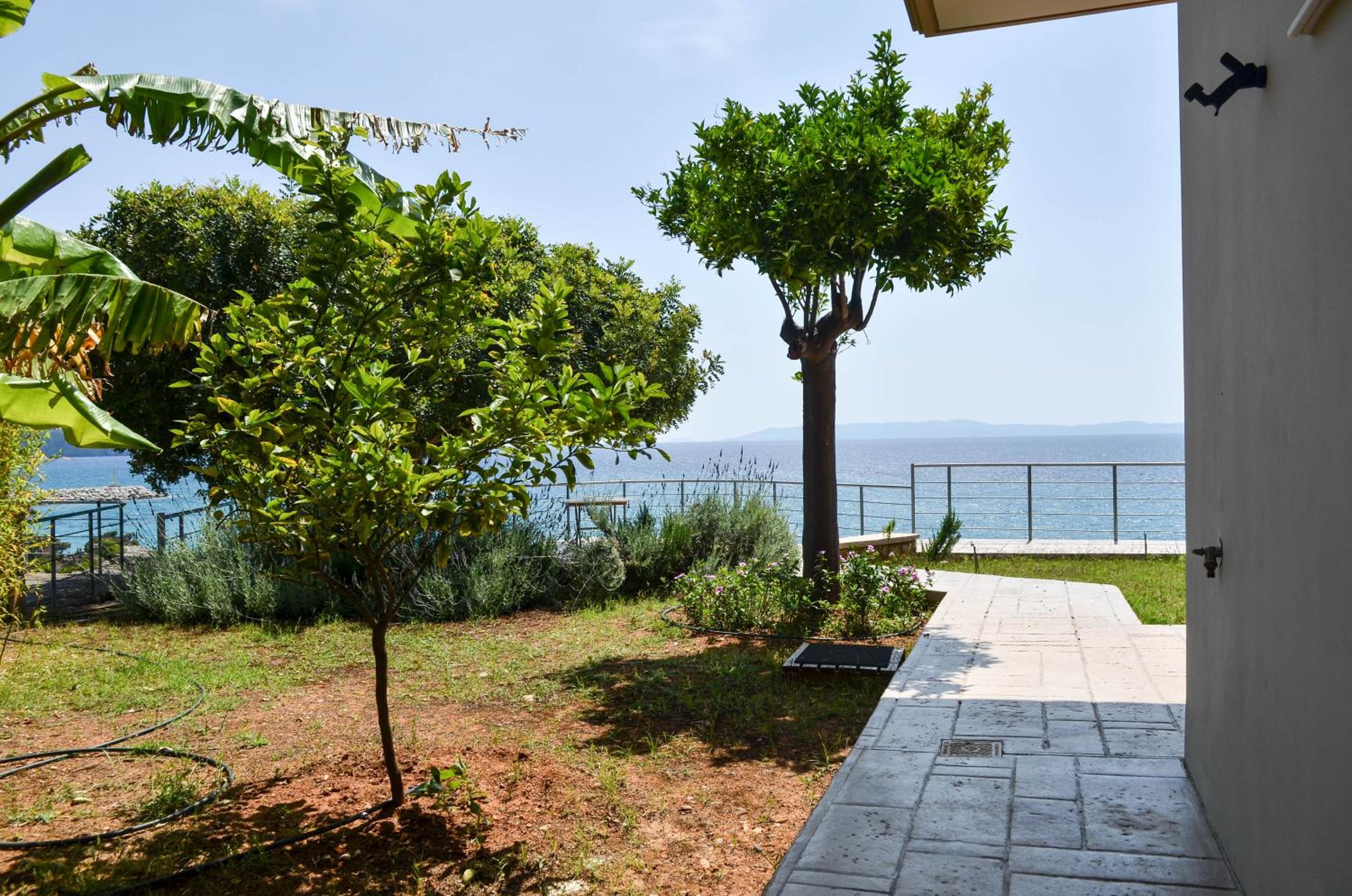 Exantas Home