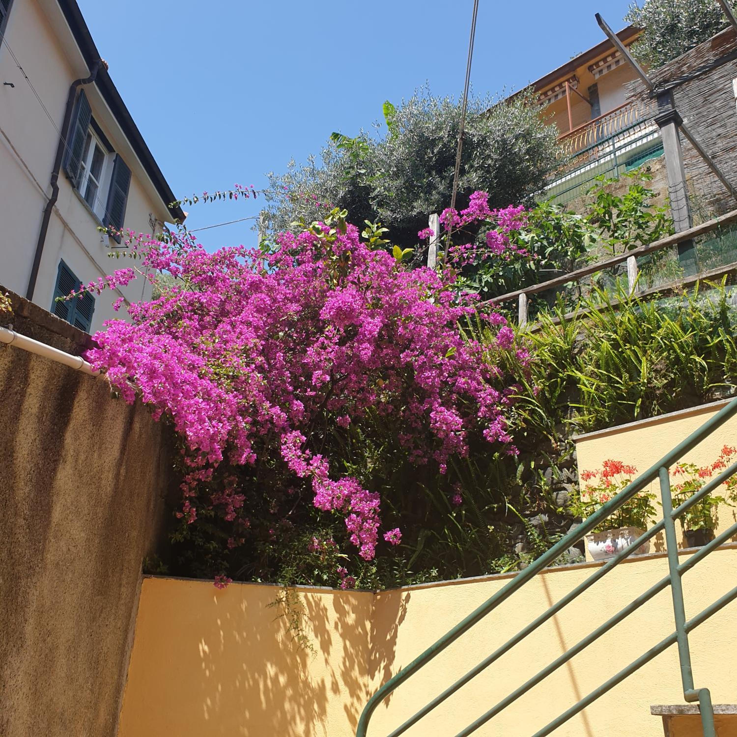 Casa del trogolo photo 4