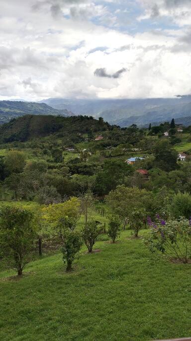 Casa de muñecas, Finca el paraíso