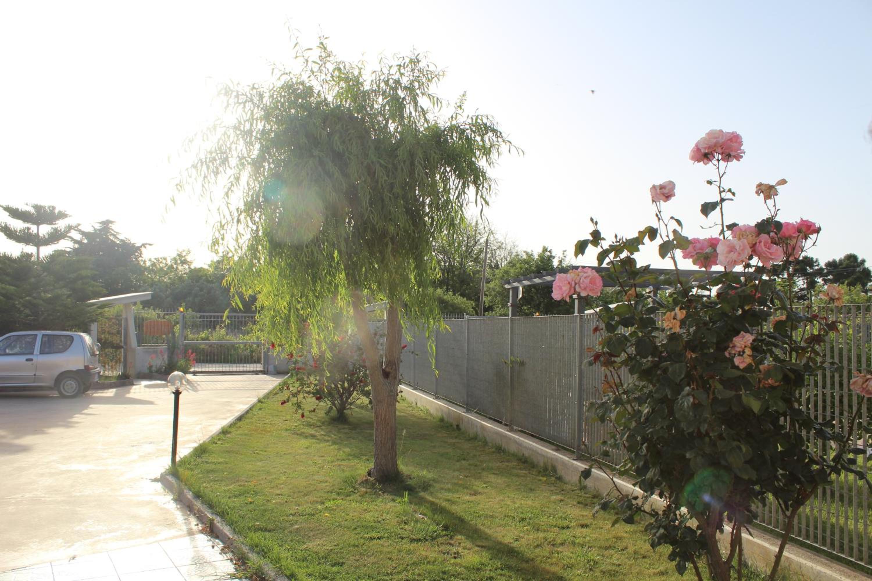 Photo 20
