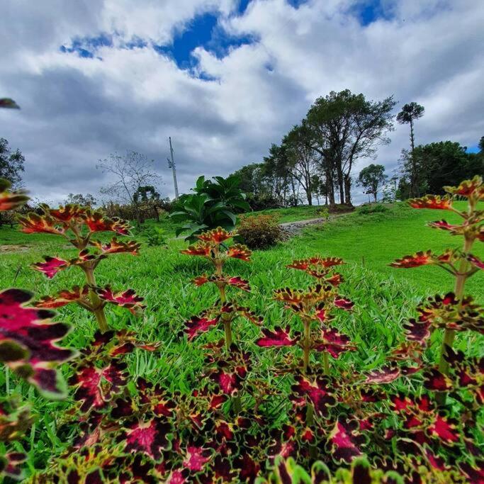 Rancho 4 Corações