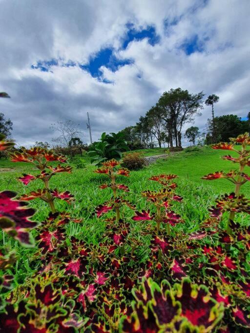 Rancho 4 Corações
