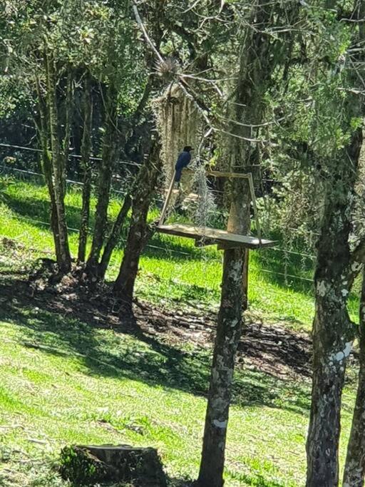 Rancho 4 Corações