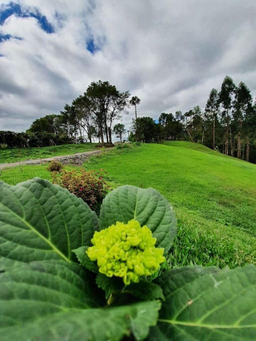 Rancho 4 Corações