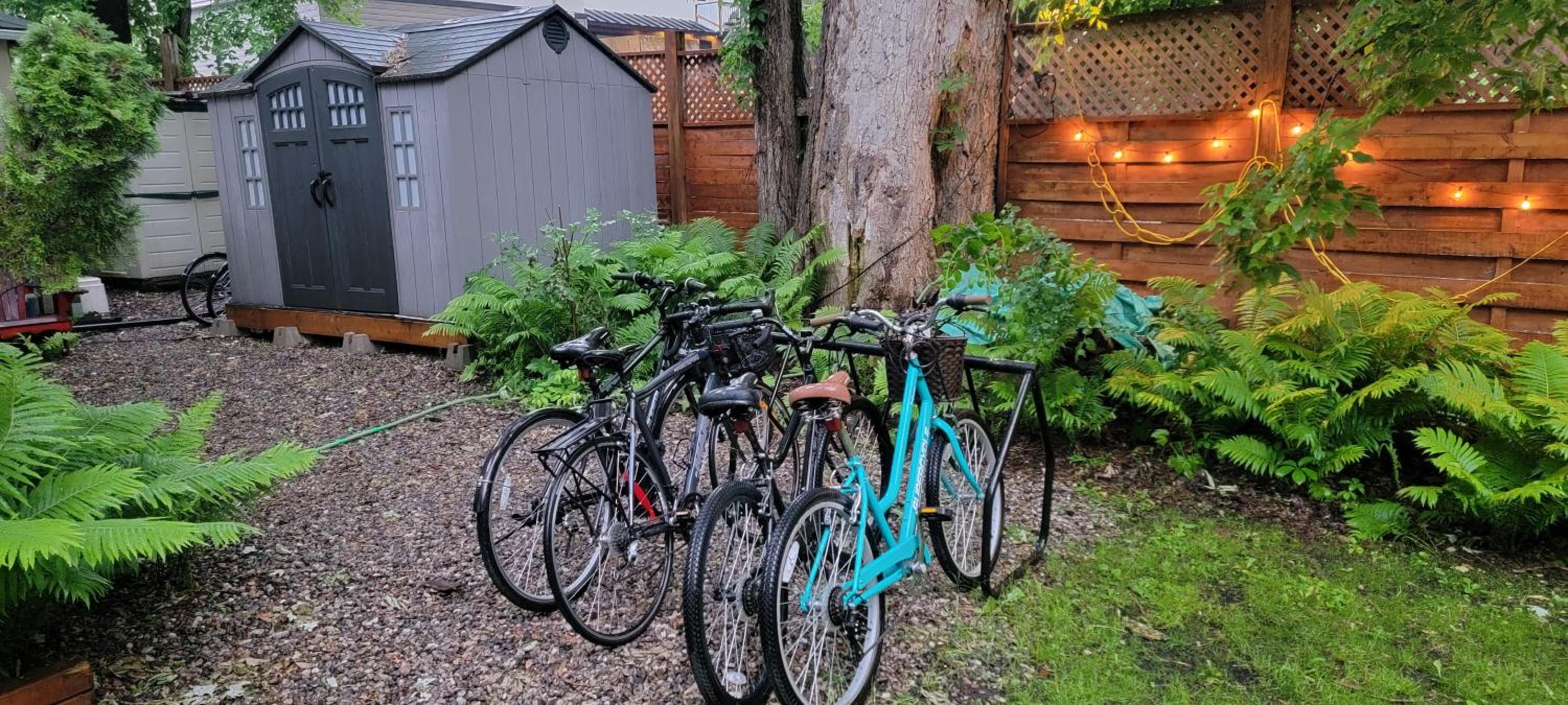 Kokomo INN Bed and Breakfast Ottawa-Gatineau's Only Tropical Riverfront B&B on the National Capital Cycling Pathway Route Verte #1 - for Adults Only - Cham