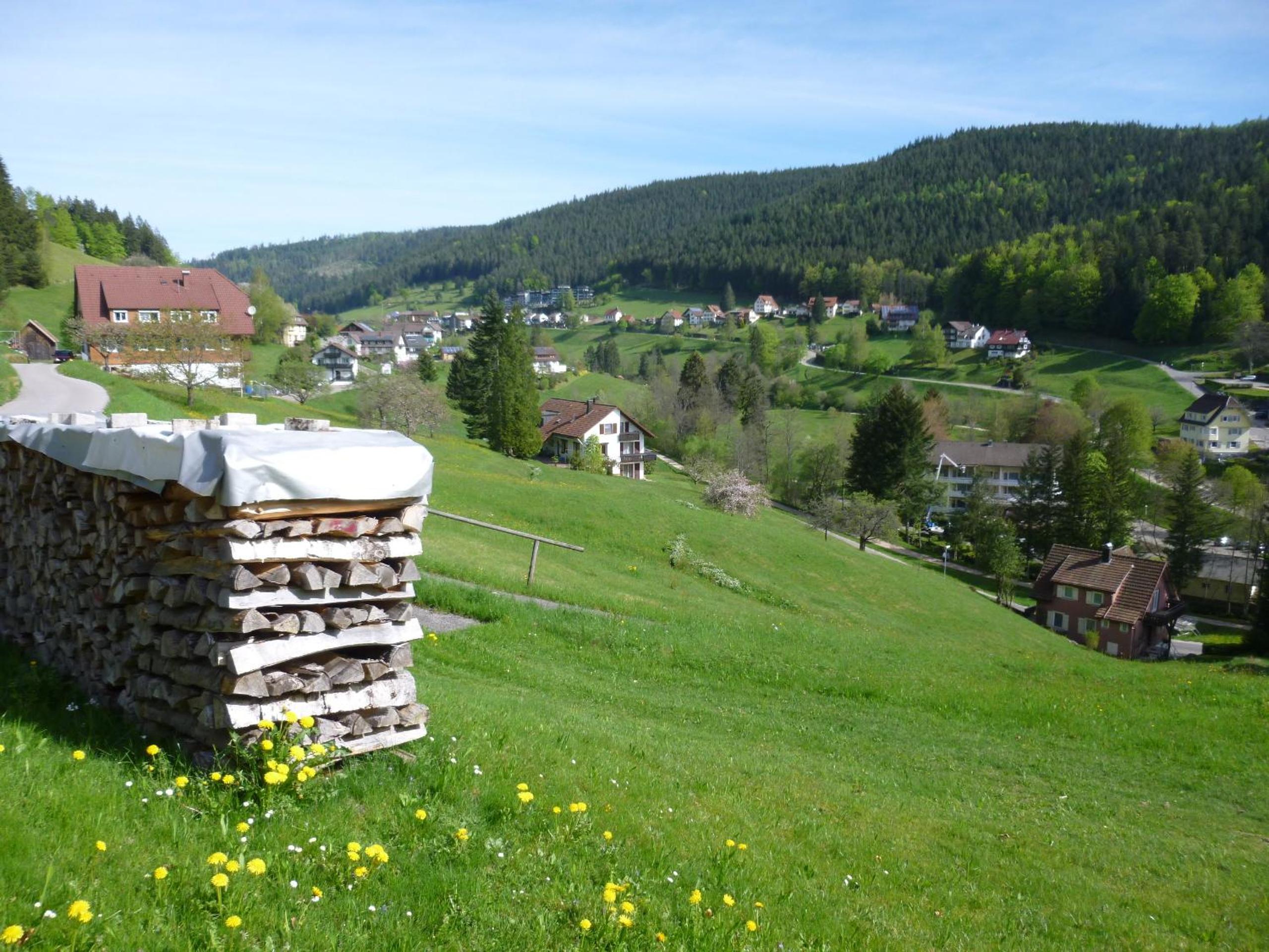 Schwarzwald-Ferienwohnungen Begert