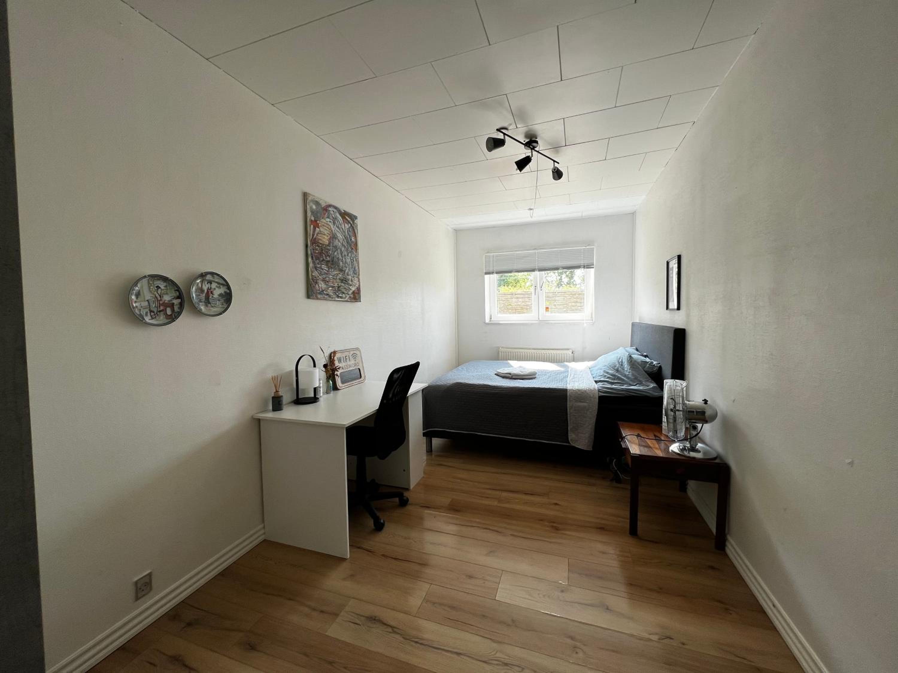 Photo 8