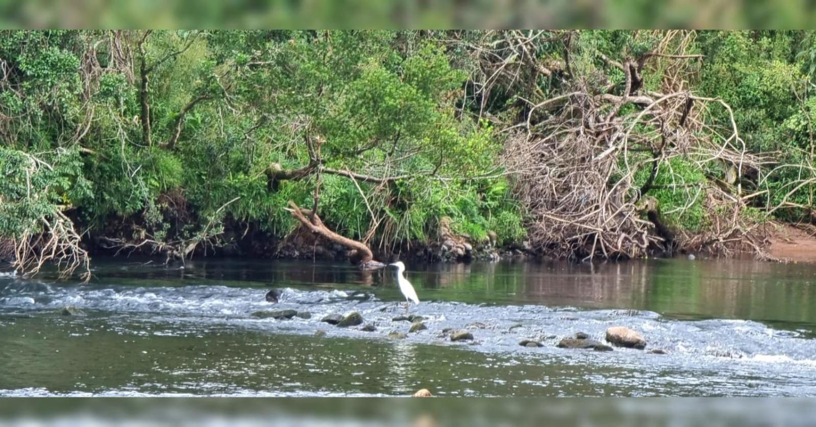CASA DE CAMPO RIO CANOAS