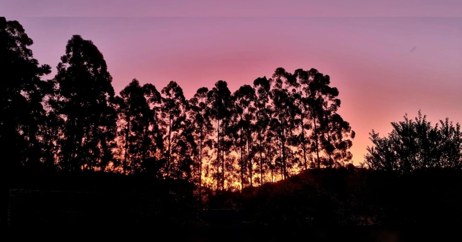 CASA DE CAMPO RIO CANOAS