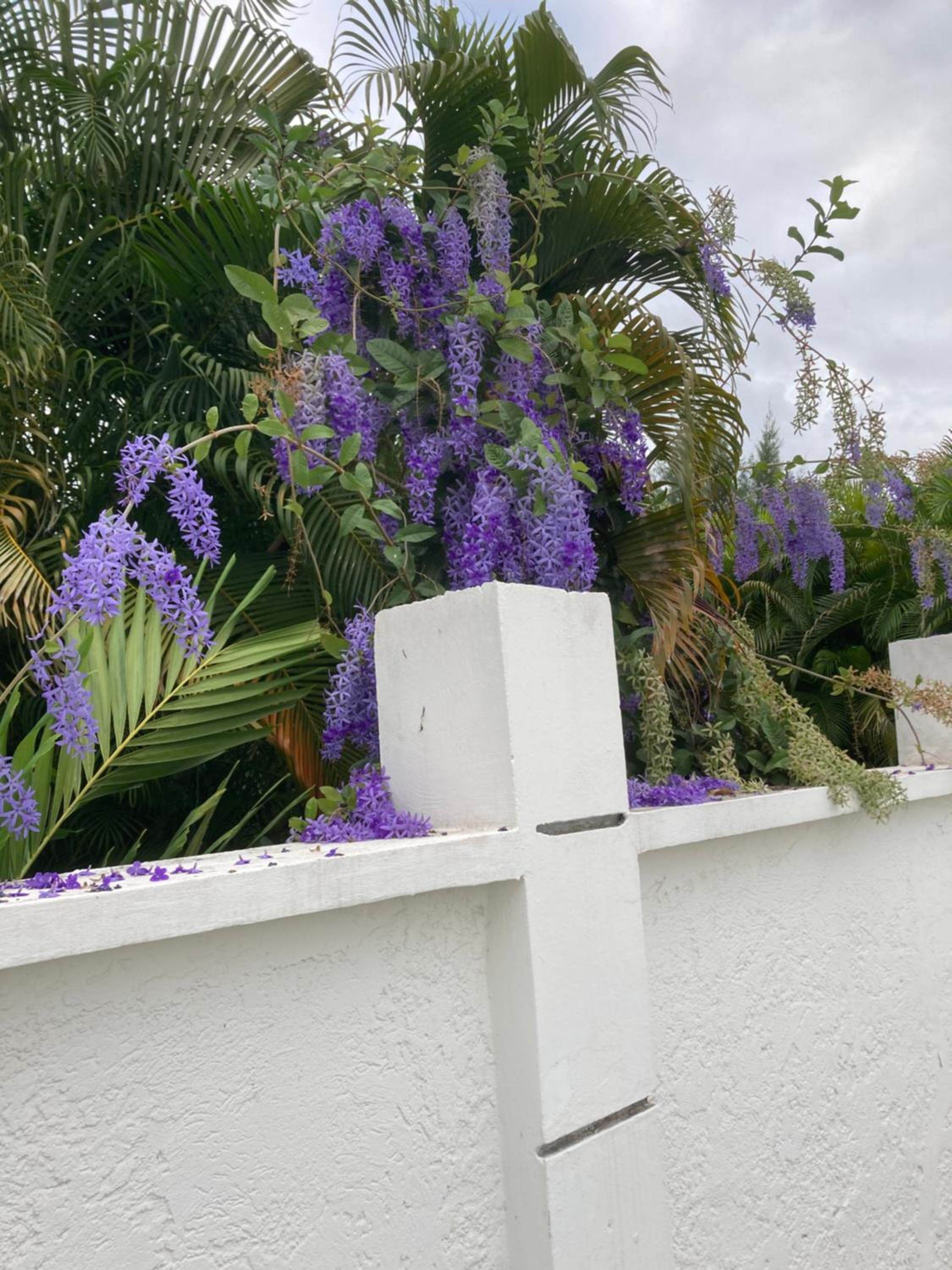 LES NUITS GALANTES MANDEVILLA MAISON PRIVÉE AVEC JACUZZI view 3