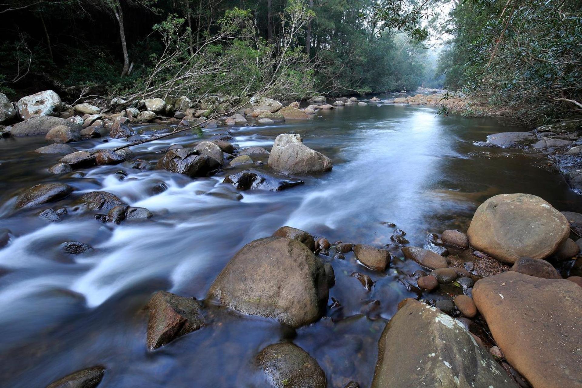 Rainforest River Retreat Kangaroo Valley
