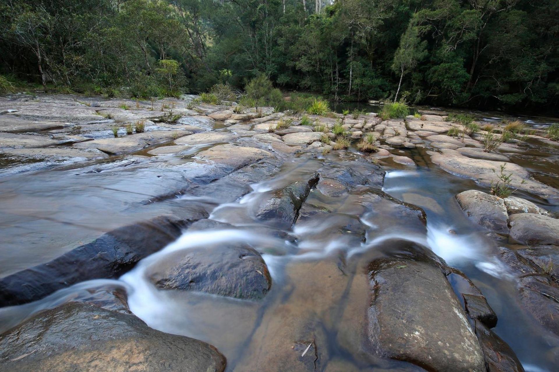 Rainforest River Retreat Kangaroo Valley