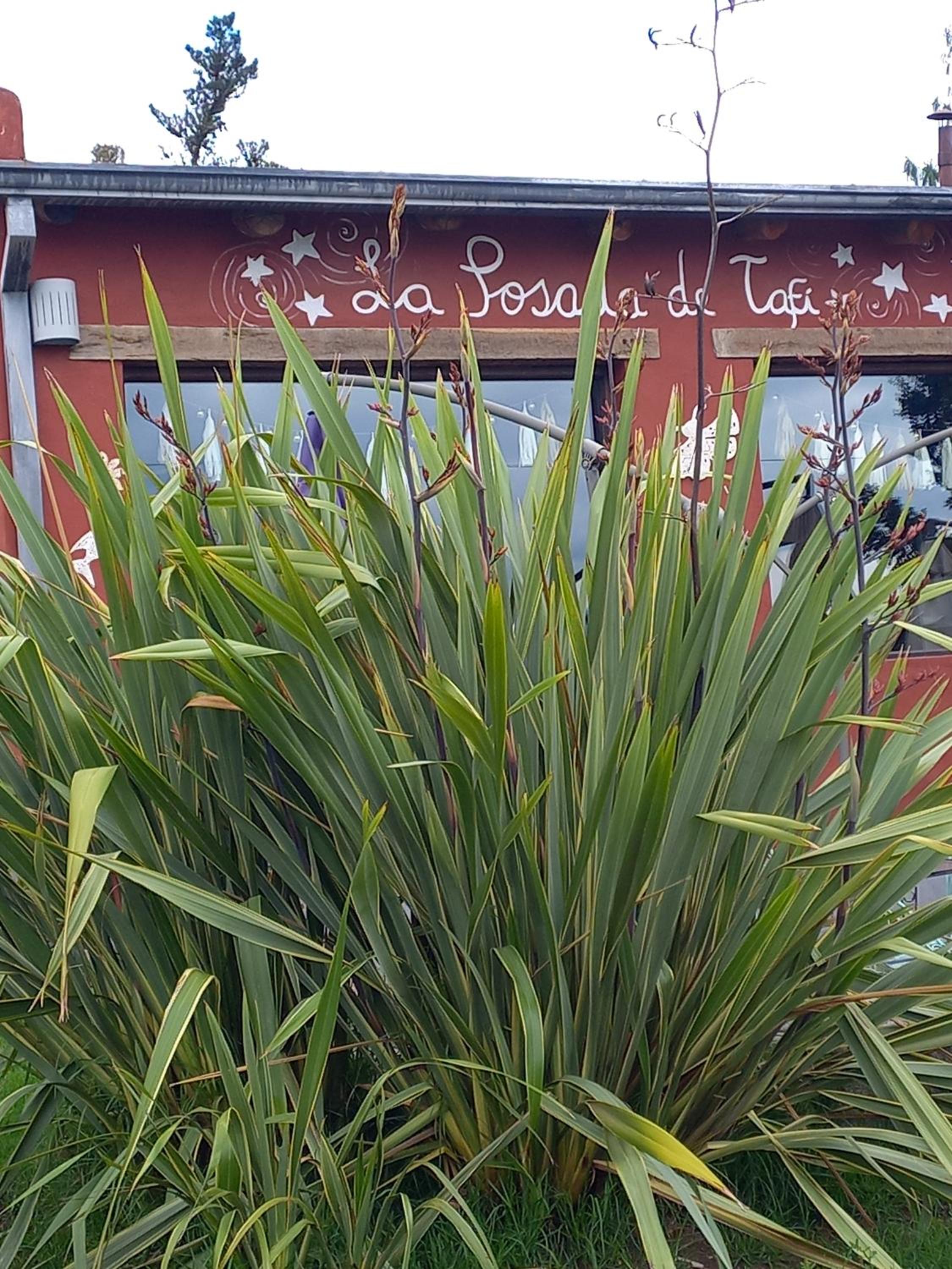 La Posada de Tafi