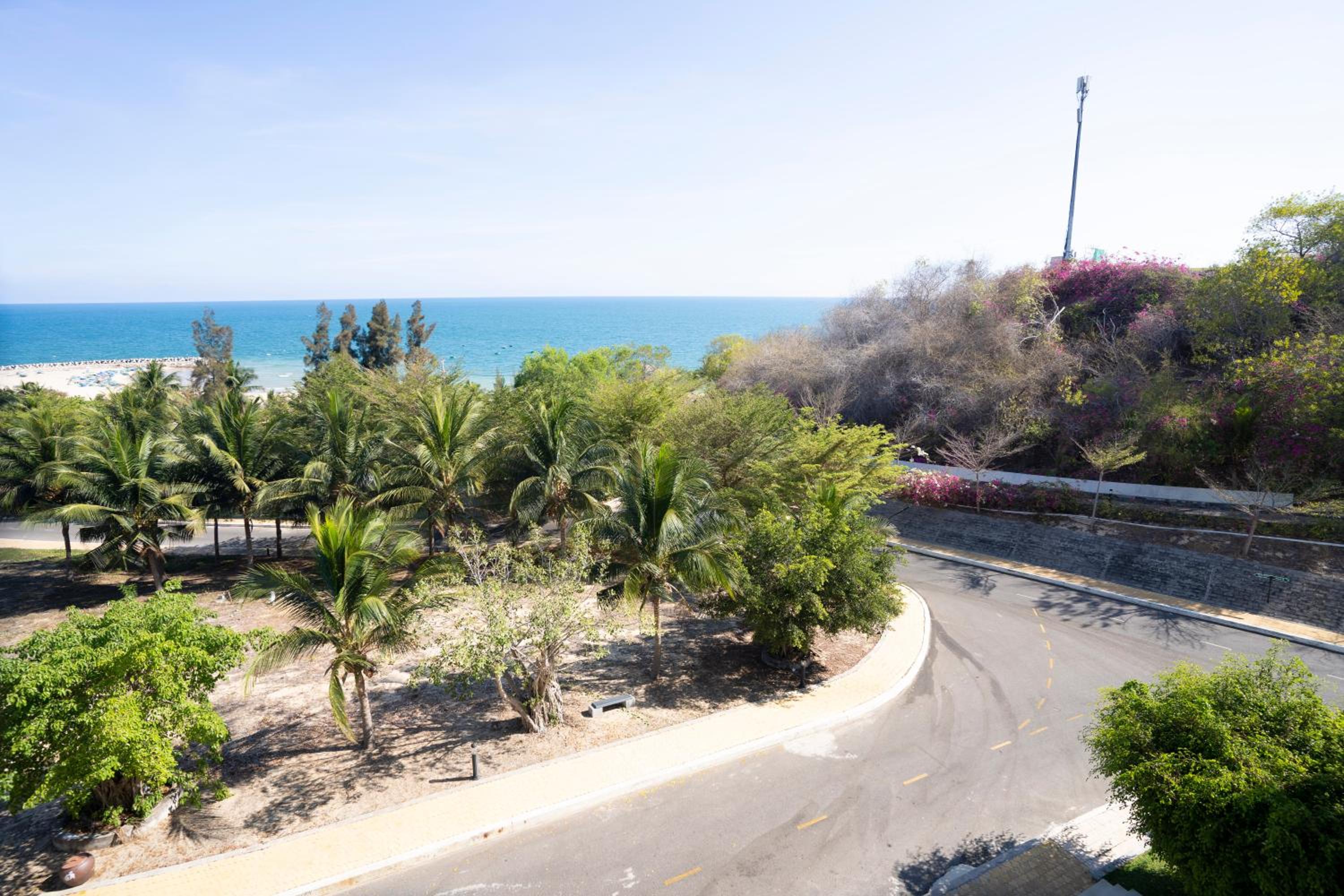 Photo 100
