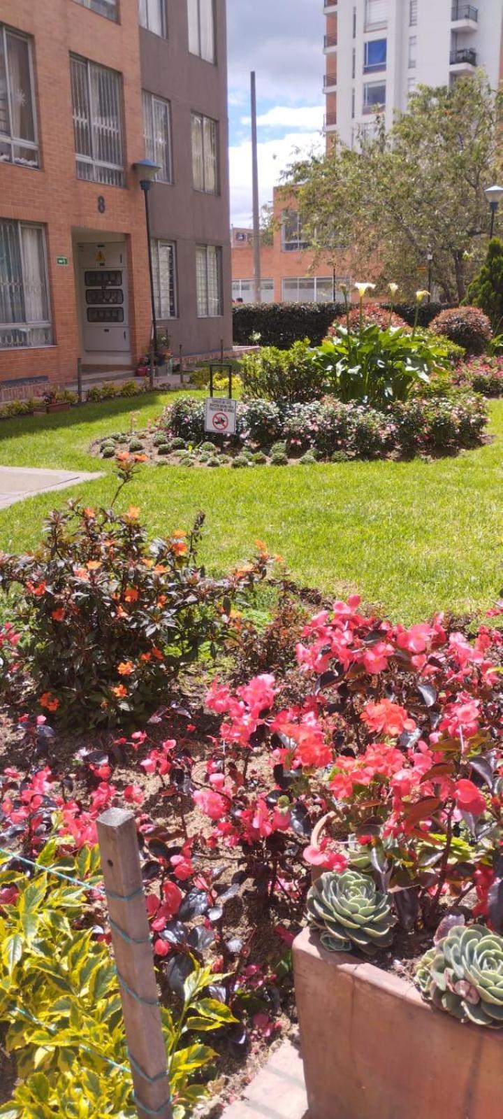 Oasis de confort: habitación