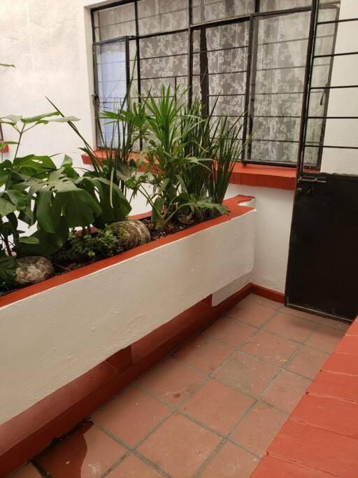 Habitación con terraza privada — Mexico City