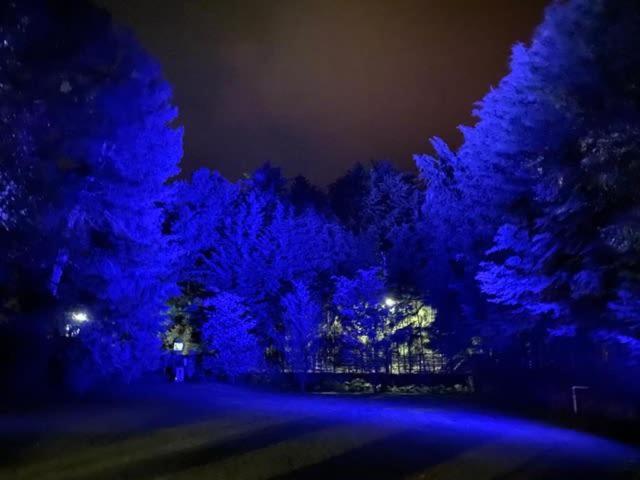 Photo 41
