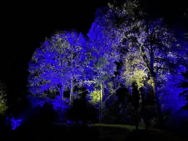 Photo 42
