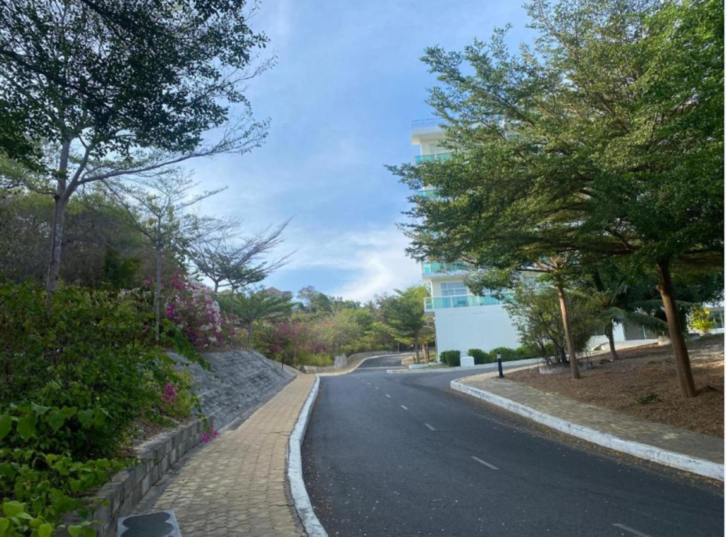 Photo 153