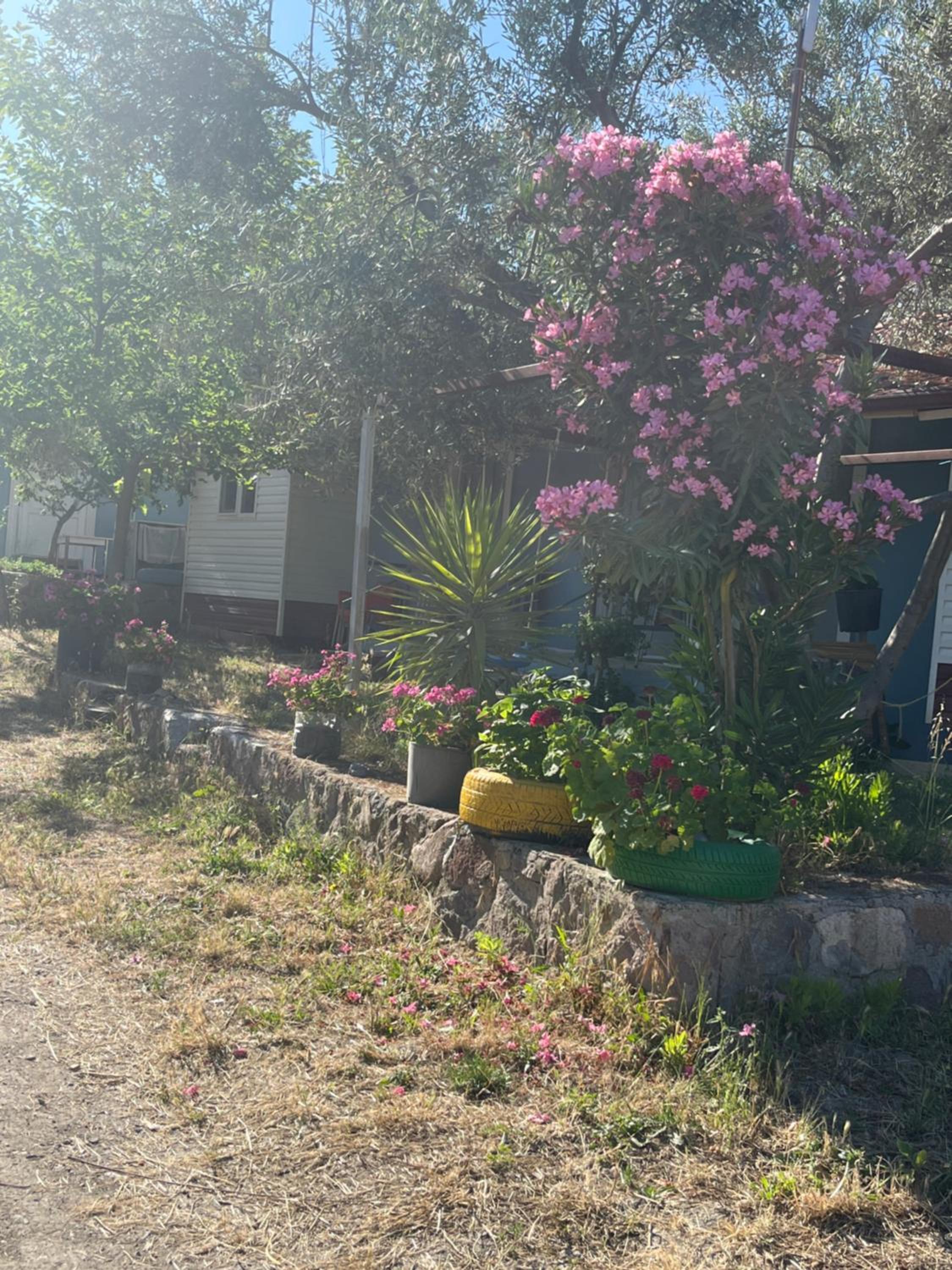 Gunes tatil köyü