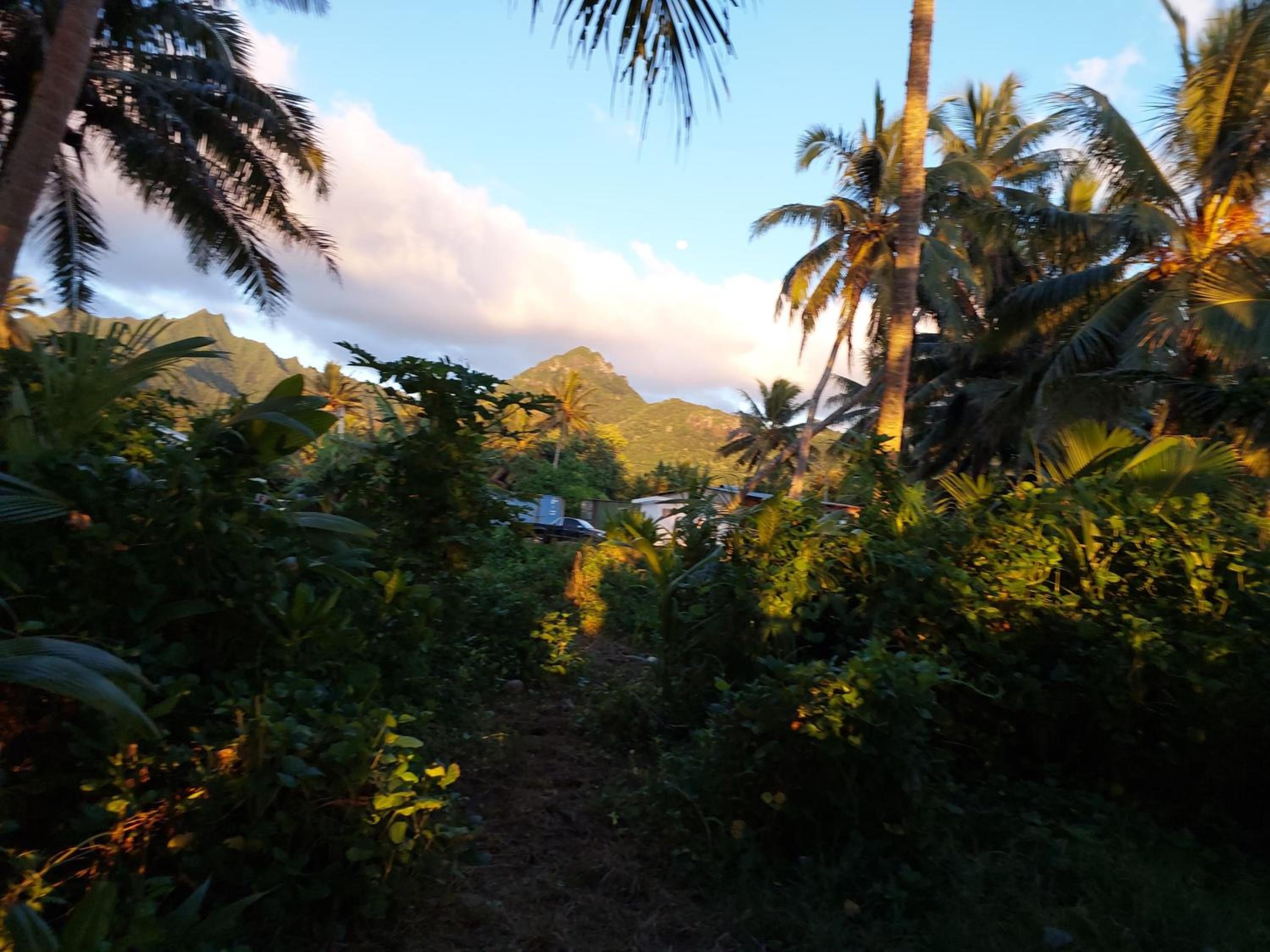 Barefoot Base Tupapa