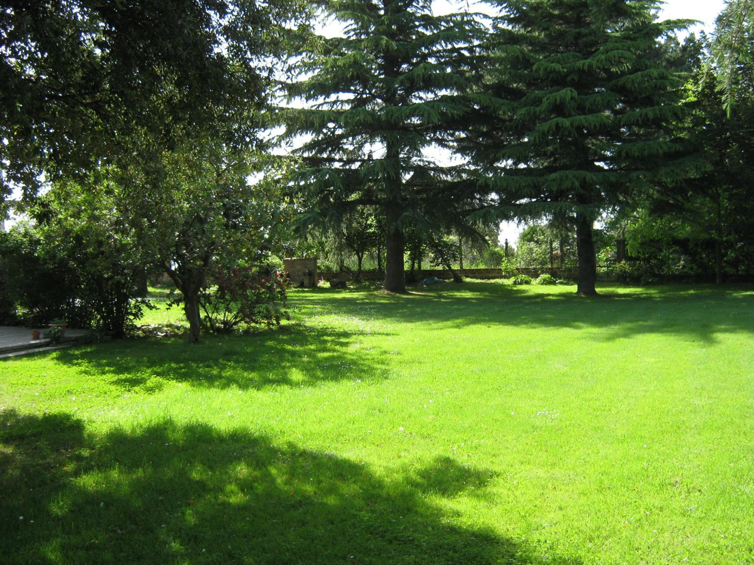 Photo 35