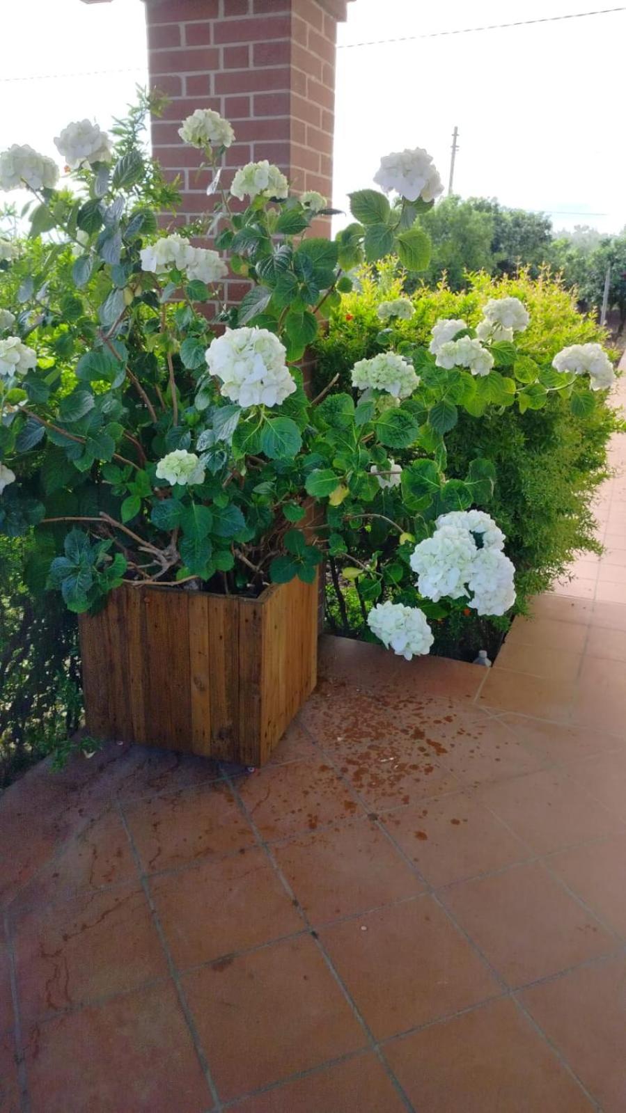 Villetta Giardino degli Ulivi
