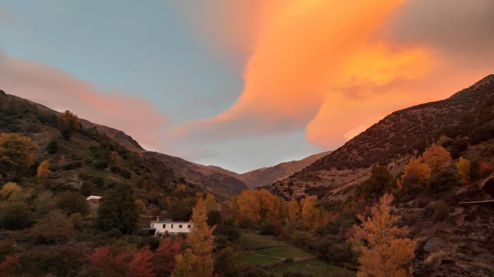 CASA RURAL CORTIJO MOLINO ALTERO
