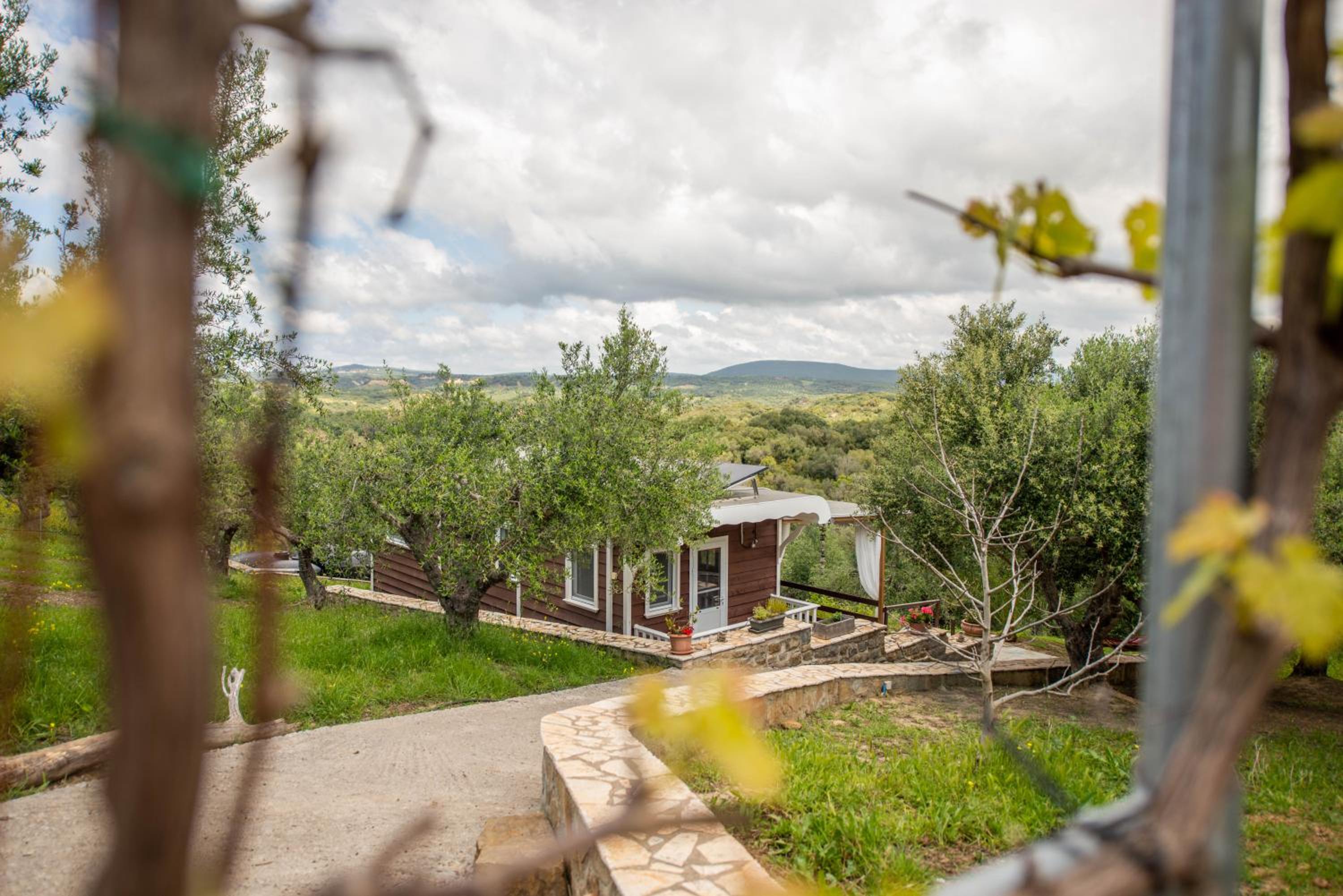 Hakuna Matata Holidays wooden lodge with airco & pool in Greek Olive Grove