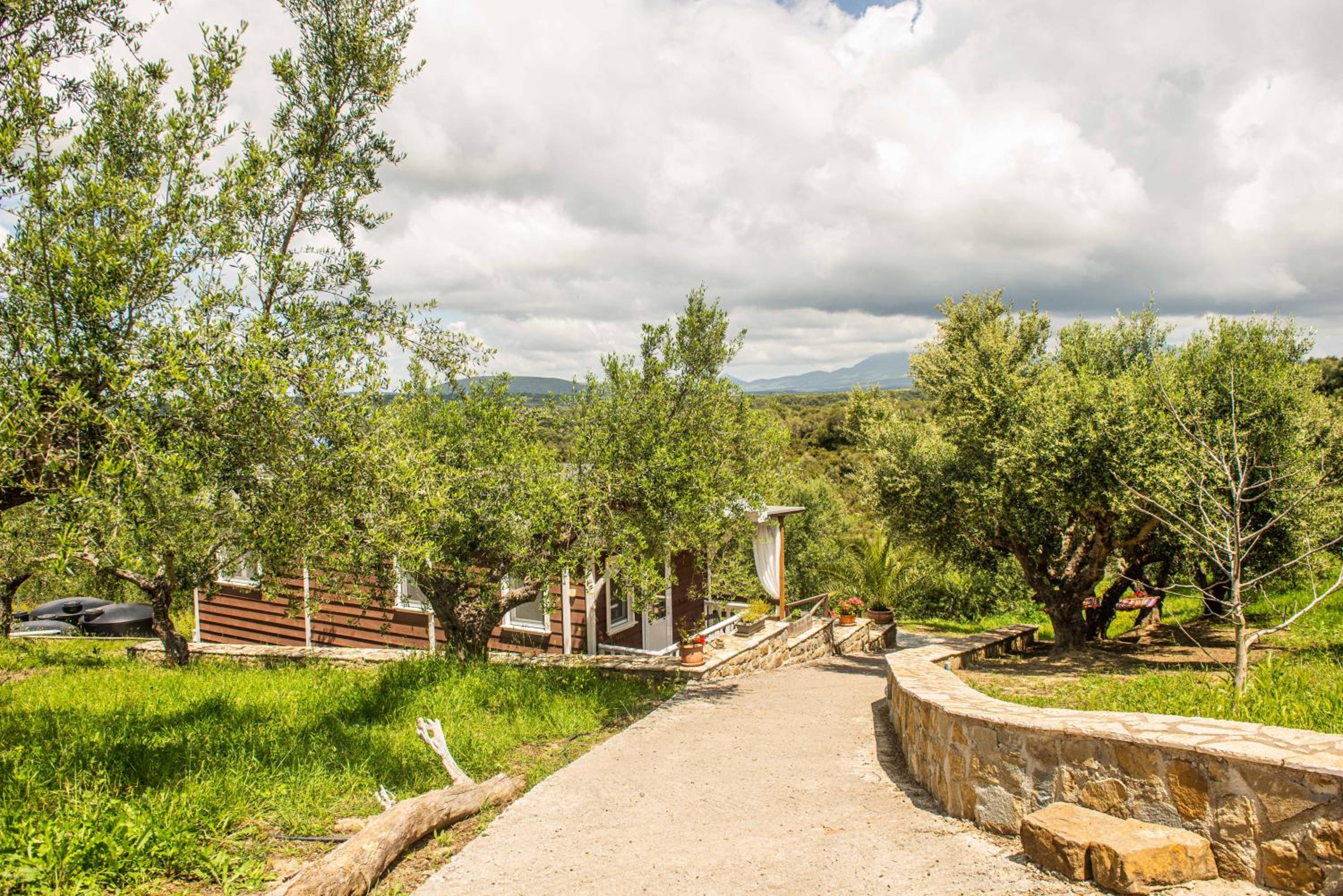 Hakuna Matata Holidays wooden lodge with airco & pool in Greek Olive Grove