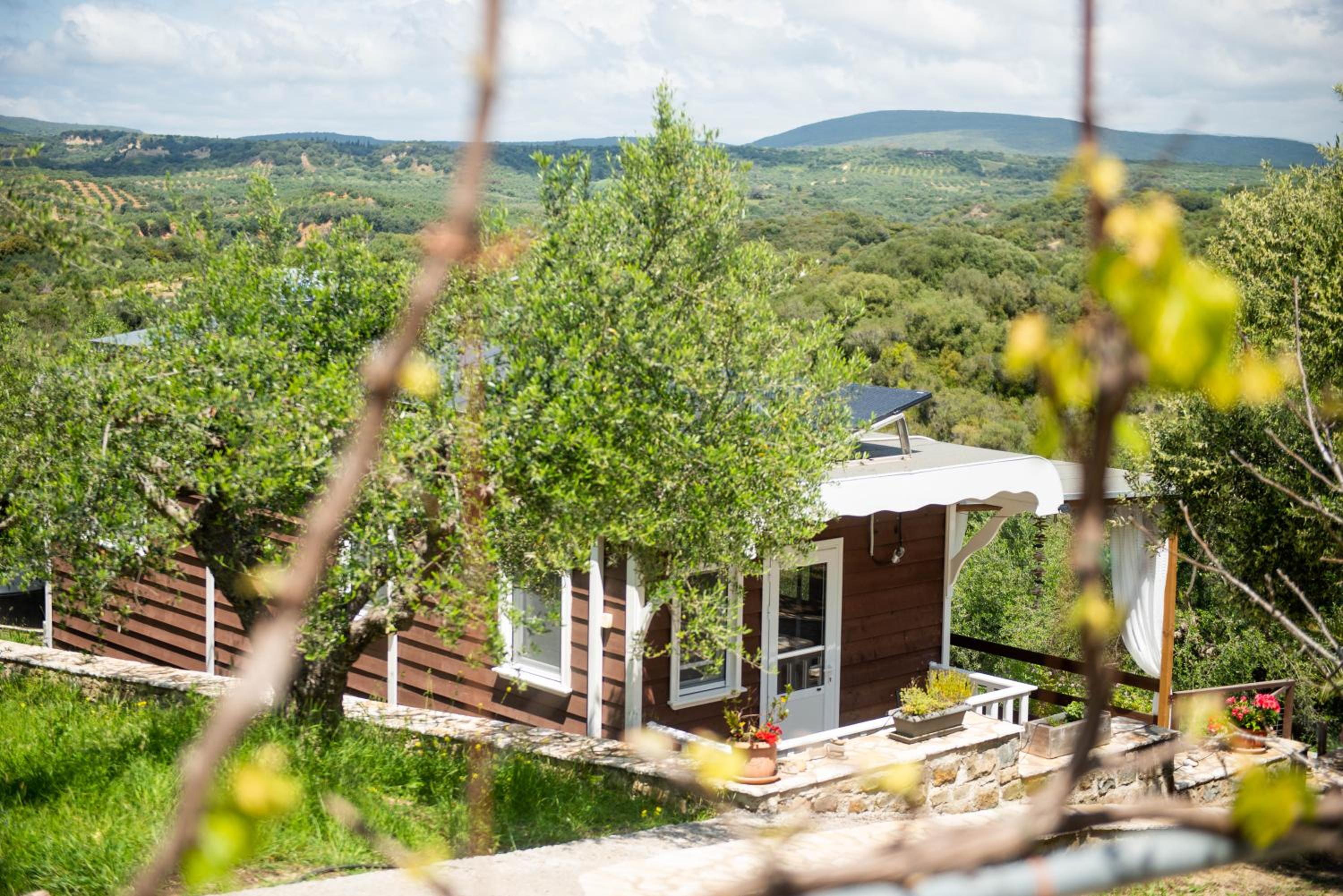 Hakuna Matata Holidays wooden lodge with airco & pool in Greek Olive Grove