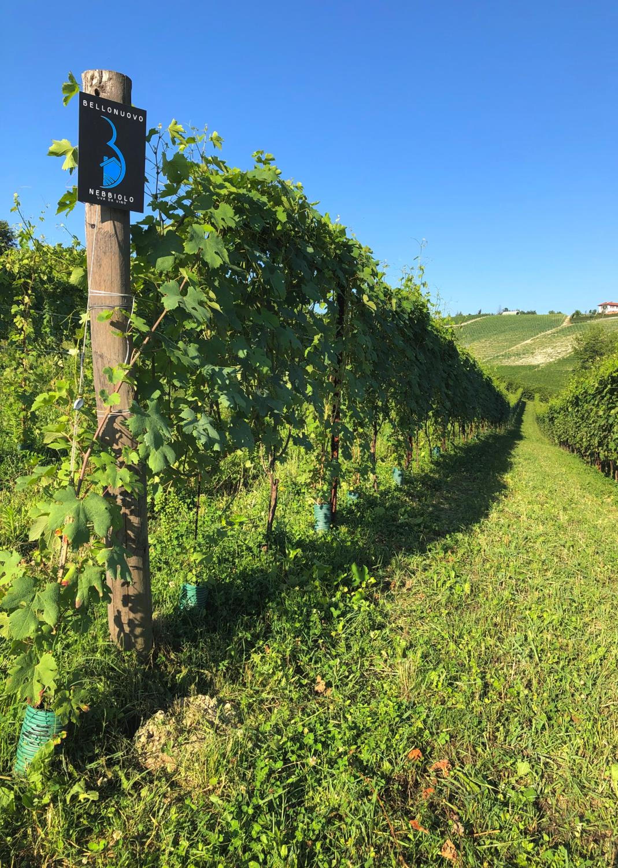 Cascina BELLONUOVO