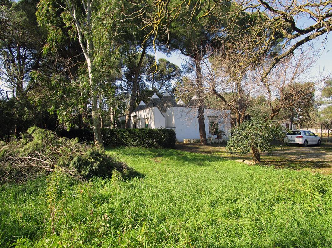 Villa Tessi view 5