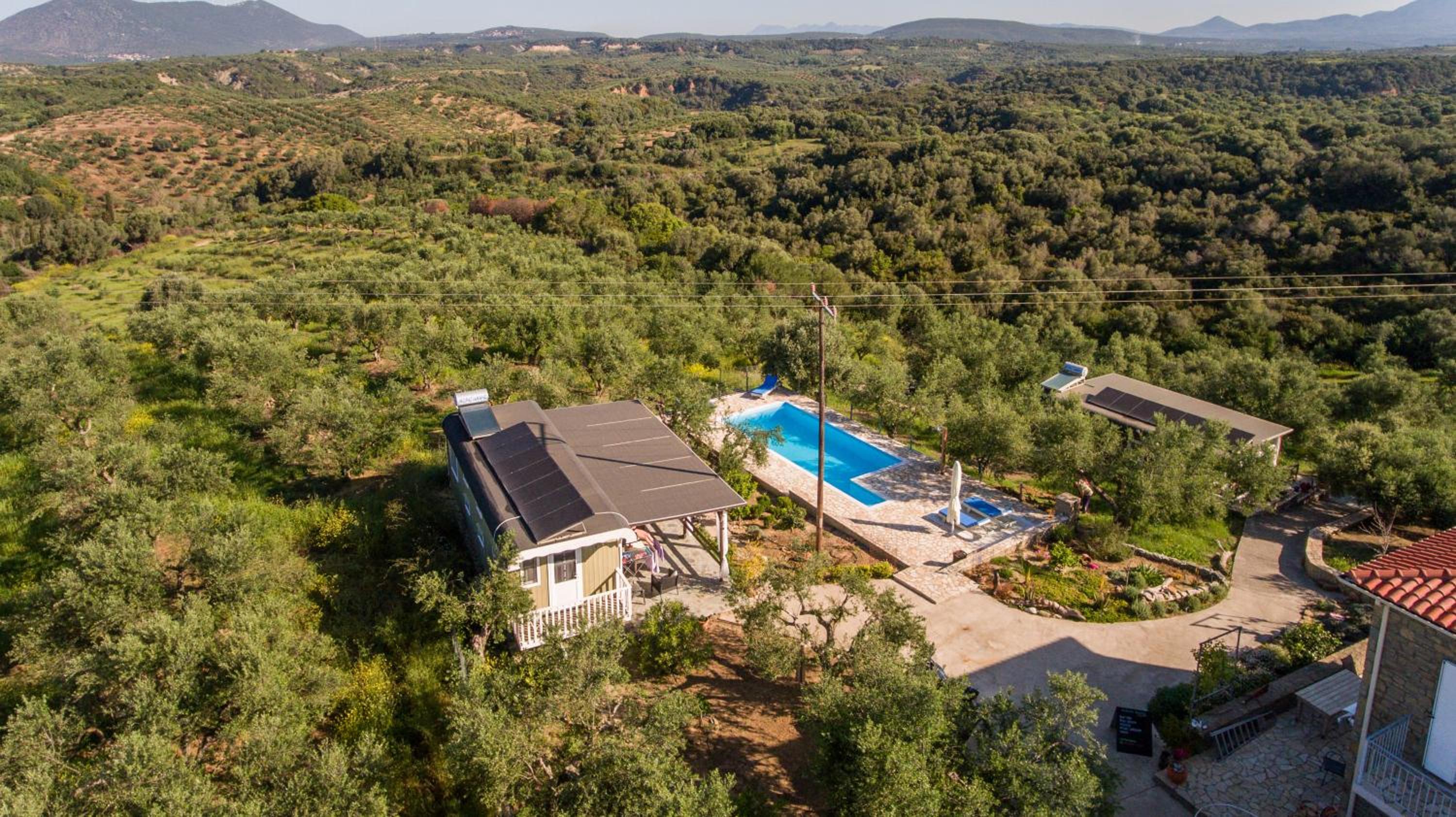 Hakuna Matata Holidays wooden lodge with airco & pool in Greek Olive Grove photo 4