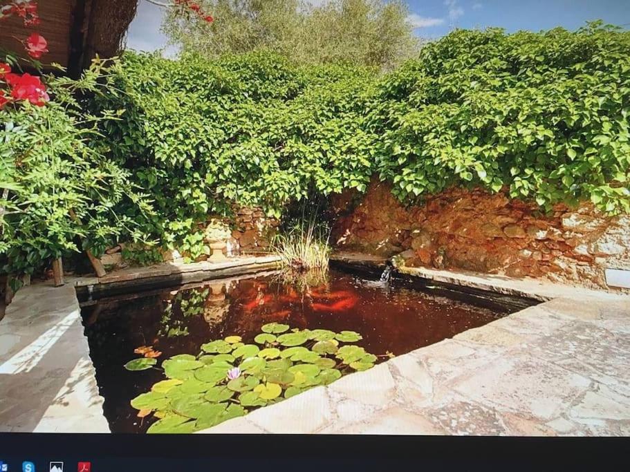 Authentic Finca Ibicenco with Large Pool