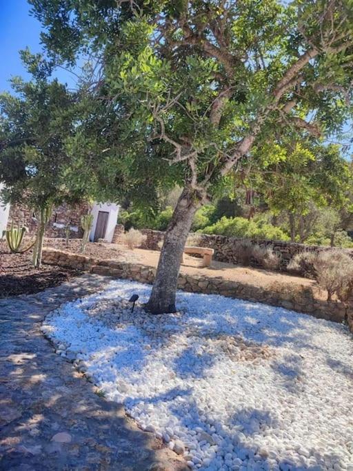 Authentic Finca Ibicenco with Large Pool