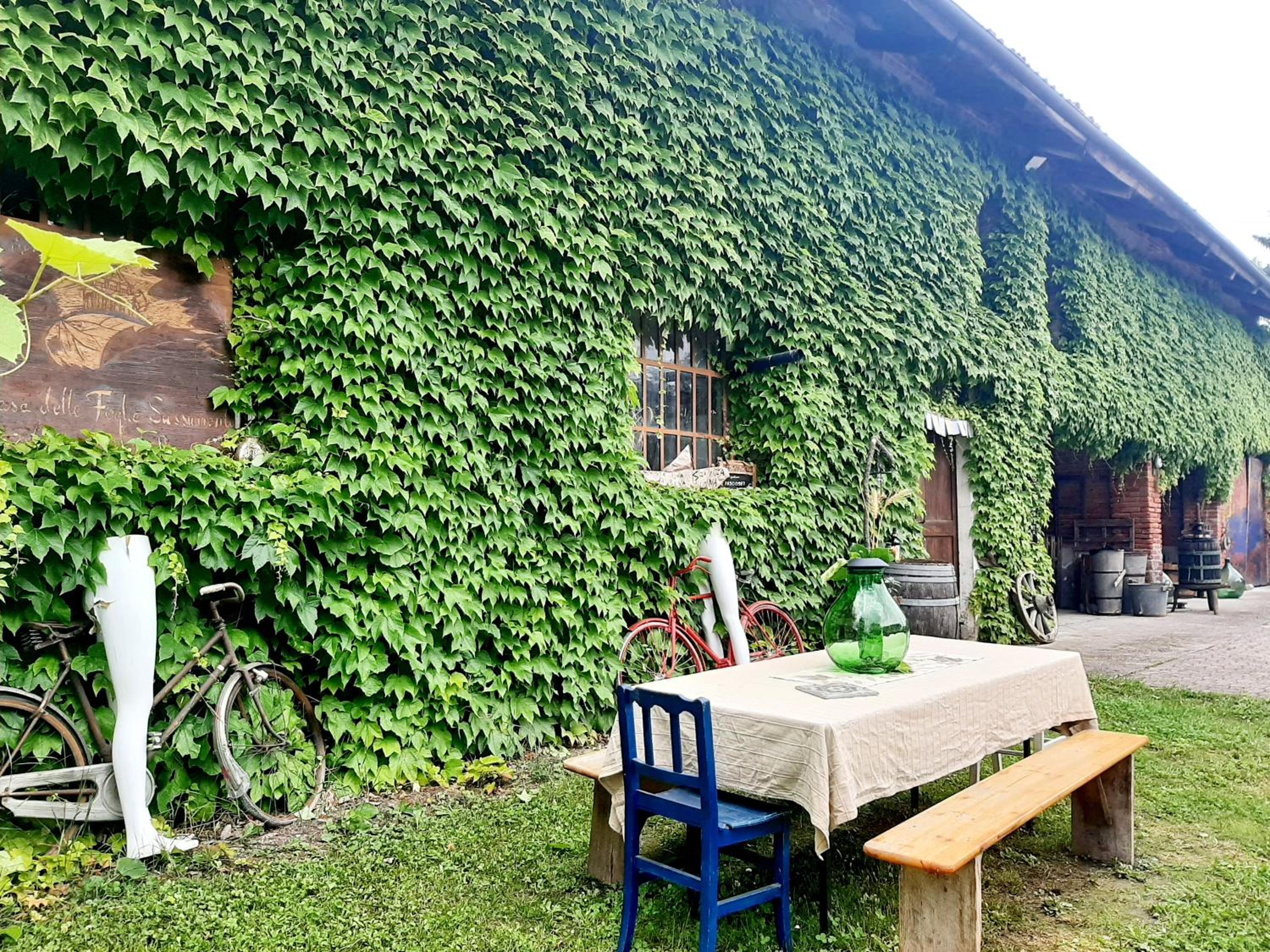 Casa delle foglie sussurranti