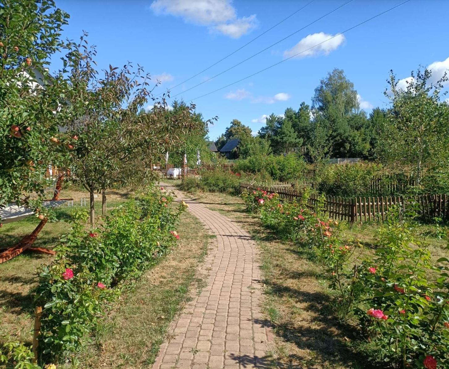 Photo 41