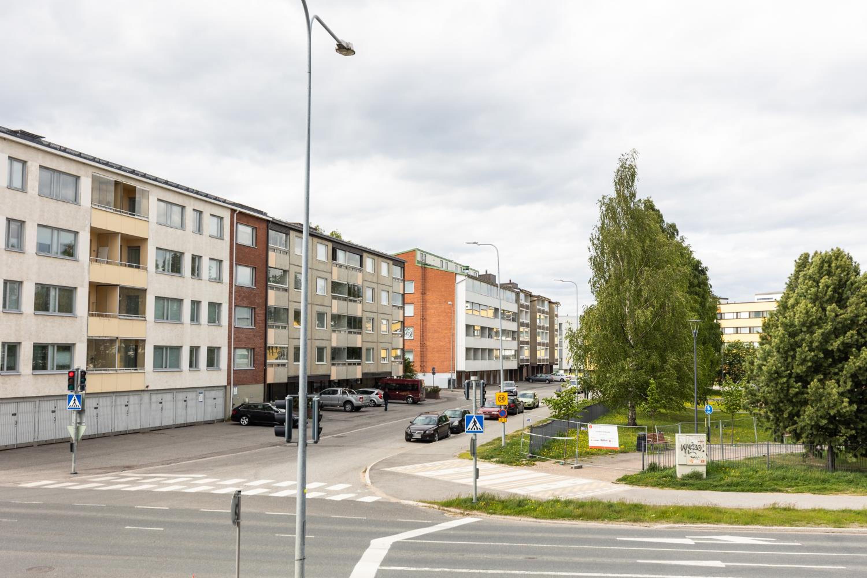 Arctic Taiga City Suite
