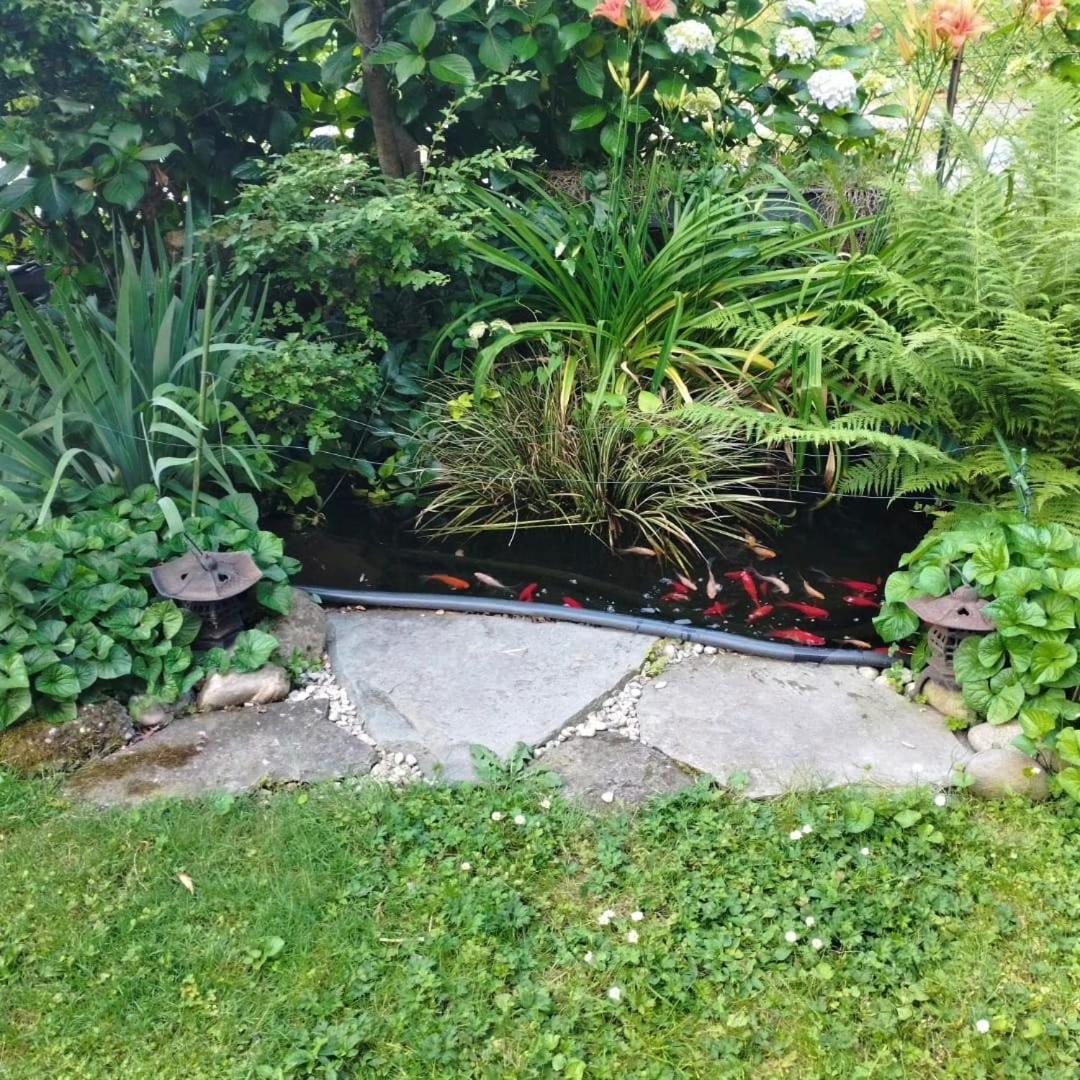 Photo 28