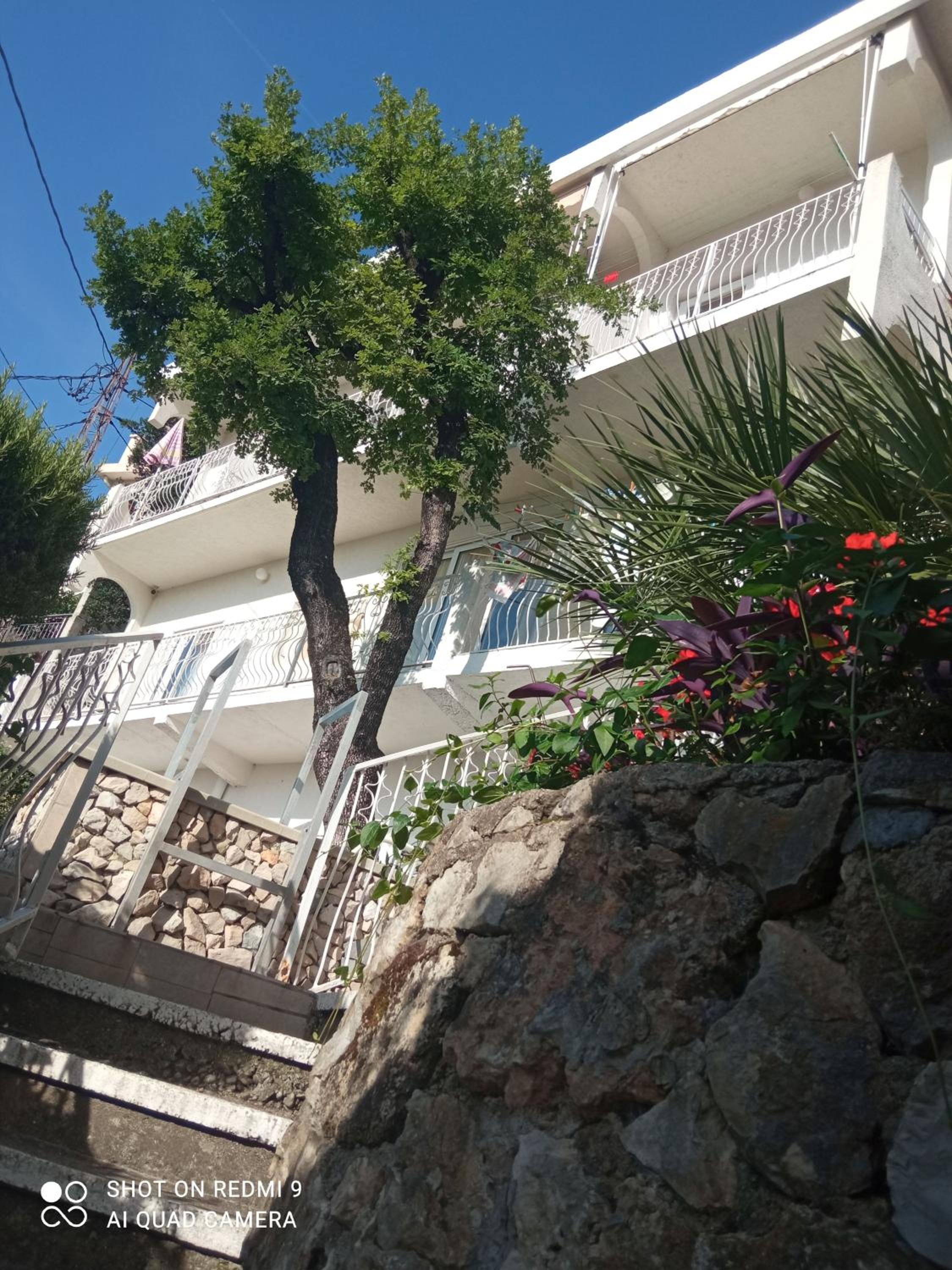 OLGA apartmani